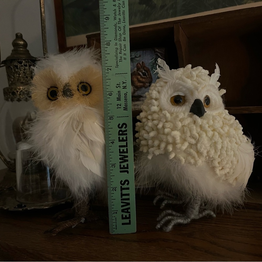 Pair of White feathered owls - Picture 7 of 7